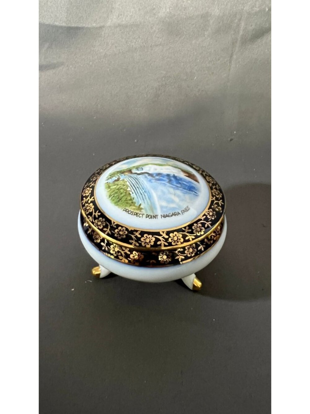 Prospect Point Niagara Falls Porcelain Trinket Box Floral Detail